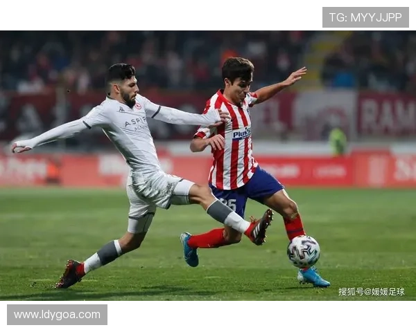 假足球赛事（足球假球案）sports